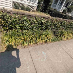 Flower Bed Weeding by M&amp;E Lawn Service reviewed on March 26, 2026