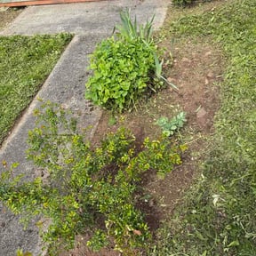 Flower Bed Weeding by Smith Lawn Care reviewed on April 13, 2026