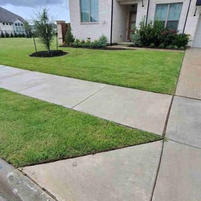 yard service by Tovar Landscaping reviewed on November 18, 2023