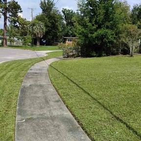 yard service by Tom's Lawn Shrub and Tree reviewed on August 15, 2025