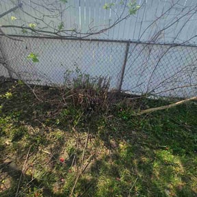 Bush Trimming by Quick Cut Lawn Care reviewed on April 26, 2026