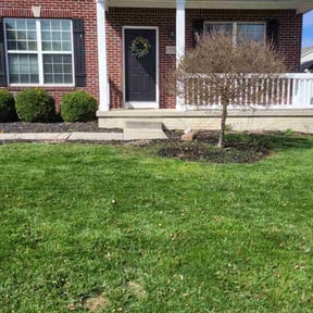 yard maintenance by OnlyMowers.com reviewed on November 24, 2025