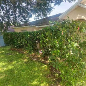 Bush Trimming by Mowtown lawn grooming reviewed on August 13, 2025