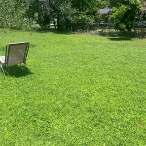 landscape maintenance by Brown Boy Services reviewed on August 19, 2025