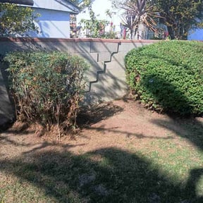 Bush Trimming by Weaver Lawn Care reviewed on November 20, 2025