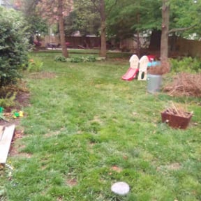 Leaf Removal by Landscaping Gomez reviewed on September 26, 2025