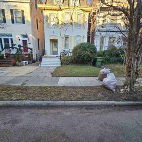 Leaf Removal by JR Lawn Maintenance reviewed on August 16, 2025