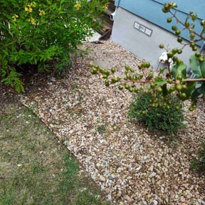 Flower Bed Weeding by Ramirez reviewed on August 16, 2025