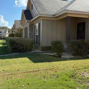 Bush Trimming by American  lawn care reviewed on November 7, 2025