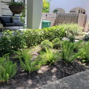 Bush Trimming by Perryman Services reviewed on August 19, 2025