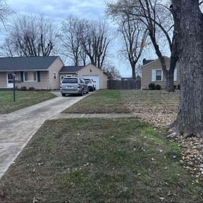 Leaf Removal by MPLS GARDEN CARE LLC reviewed on November 23, 2025