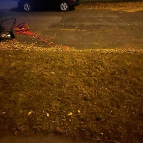 Leaf Removal by AB landscaping reviewed on November 22, 2025