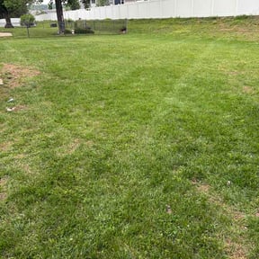 Bush Trimming by Matt reviewed on May 22, 2026