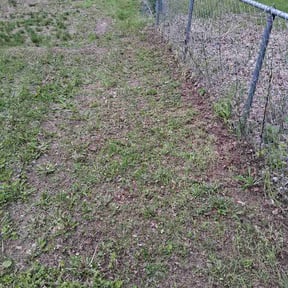 Leaf Removal by Martínez lawn care reviewed on July 4, 2026