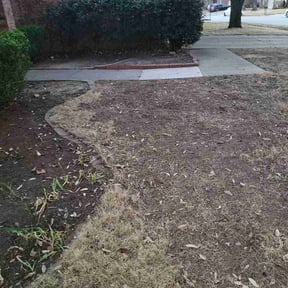 Leaf Removal by Supreme Home Services reviewed on April 17, 2026