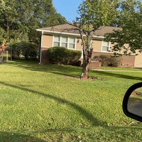 Bush Trimming by Toms landscaping reviewed on November 22, 2025