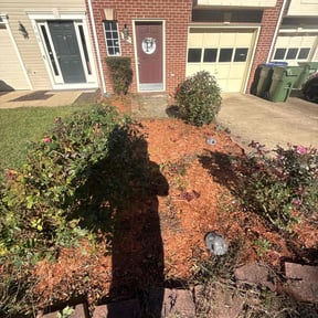 Bush Trimming by Mann&#039;s Construction LLC reviewed on November 9, 2025