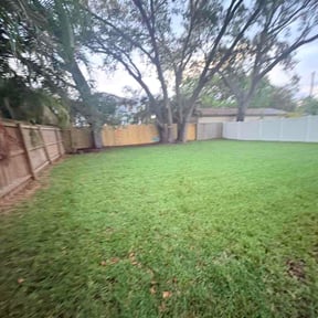 Leaf Removal by P&amp;P Express reviewed on April 21, 2026