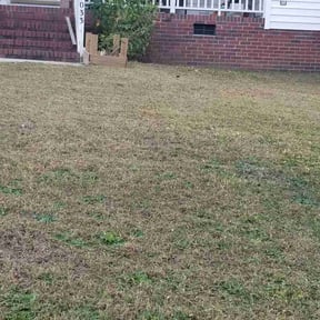 Bush Trimming by JBS inc reviewed on August 15, 2025