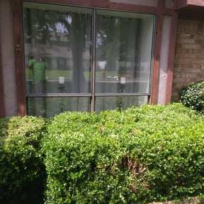 Bush Trimming by R &amp; C Landscaping reviewed on July 16, 2025