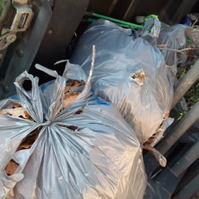 Leaf Removal by Advance Cutter Lawn Maintenance reviewed on September 26, 2025