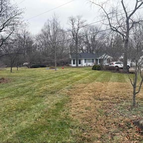 Leaf Removal by Deshun Walker Inc reviewed on December 18, 2025