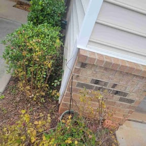 Lawn Seeding by Pristine Properties LHS reviewed on May 17, 2025