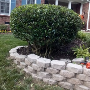 Bush Trimming by B&amp;R Landcaspe reviewed on May 13, 2023