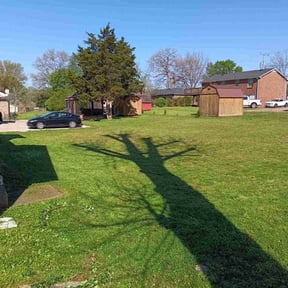 grass maintenance by Shane Ray reviewed on November 18, 2023