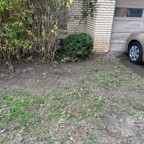 Bush Trimming by We like grass reviewed on December 12, 2025