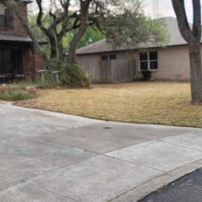 Leaf Removal by Brand lawn crew reviewed on August 13, 2025
