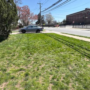 Leaf Removal by Sergio’s landscaping reviewed on September 11, 2026