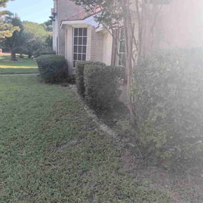 Bush Trimming by Luis Medina landscaping reviewed on August 1, 2026