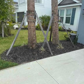 Flower Bed Weeding by David View reviewed on August 16, 2026