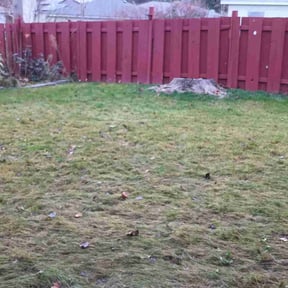 Leaf Removal by Perfect image lawn service of  Georgia reviewed on November 22, 2025