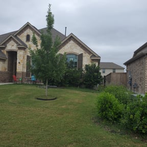 Bush Trimming by Osment Lawn Care reviewed on November 19, 2025