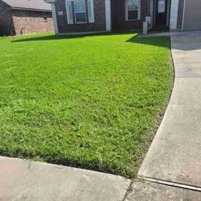 residential landscaping by SureStep Quality Services reviewed on August 19, 2025
