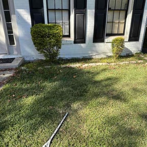 Bush Trimming by Uncle B Lawn Service reviewed on November 18, 2025