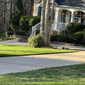 landscaping services by Blue Light Development reviewed on November 22, 2025