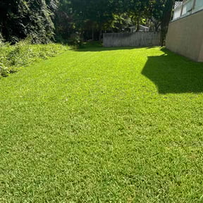 residential landscaping by Westley Powell lawn care and property maintenance reviewed on August 17, 2025