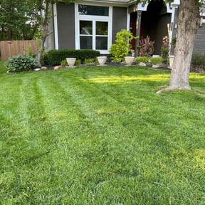 landscaping by K&amp;K Green Grass reviewed on November 24, 2025