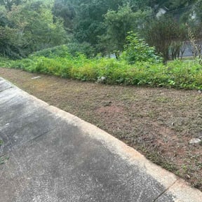 Leaf Removal by SunnyDay Lawn Service+Maintance reviewed on July 13, 2022