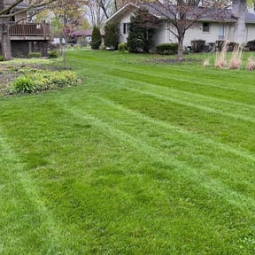 turf care by GAMA Lawn Care Services reviewed on April 19, 2025