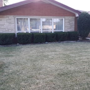 Bush Trimming by Blessed Lawn Care Services & Odd Jobs reviewed on August 18, 2025