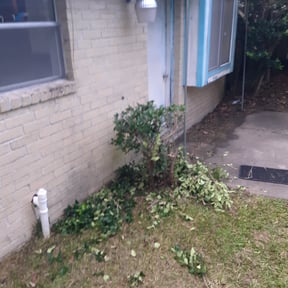 Bush Trimming by Moncada’s lawn care reviewed on August 17, 2025