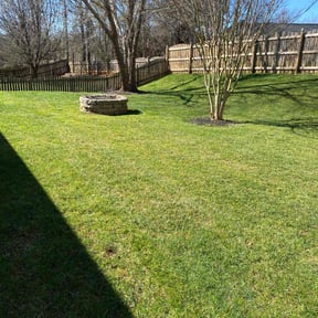 gardening service by Keep it Loe Lawn Service reviewed on August 15, 2025