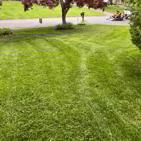 landscape maintenance by Mainline Lawn Care reviewed on August 19, 2025