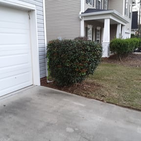 Bush Trimming by Emerald Green Property Management LLC reviewed on August 15, 2025