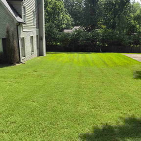yard service by The Bilingual Landscape Artist reviewed on August 17, 2025