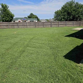 grass maintenance by Krahns Lawn Services reviewed on August 18, 2020